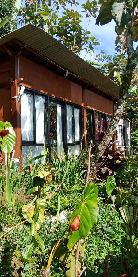 Jungleadventure Cabin Camping Бедугул Екстериор снимка